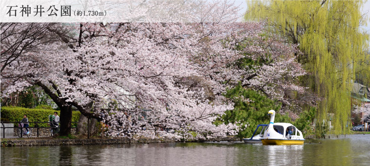 石神井公園