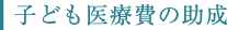 子ども医療費の助成